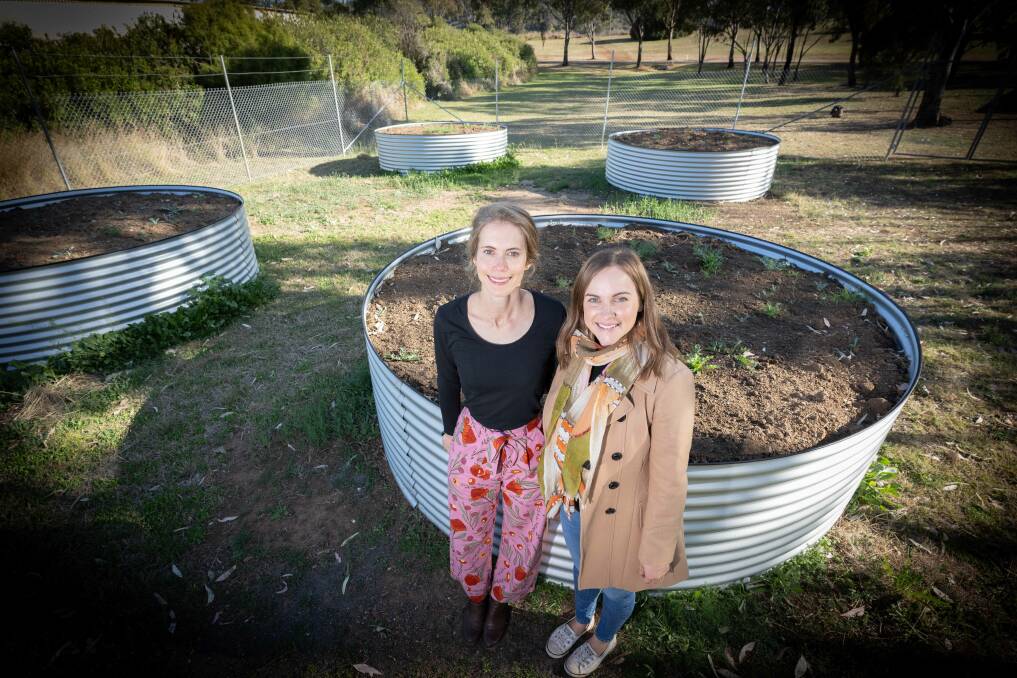 Tamworth's new Community Garden, located in Victoria Park beside the Tamworth Men's Shed, will hold it's first community planting day on Sunday, September 17, as all interested locals are encourage to join in the fun. Pictures by Peter Hardin