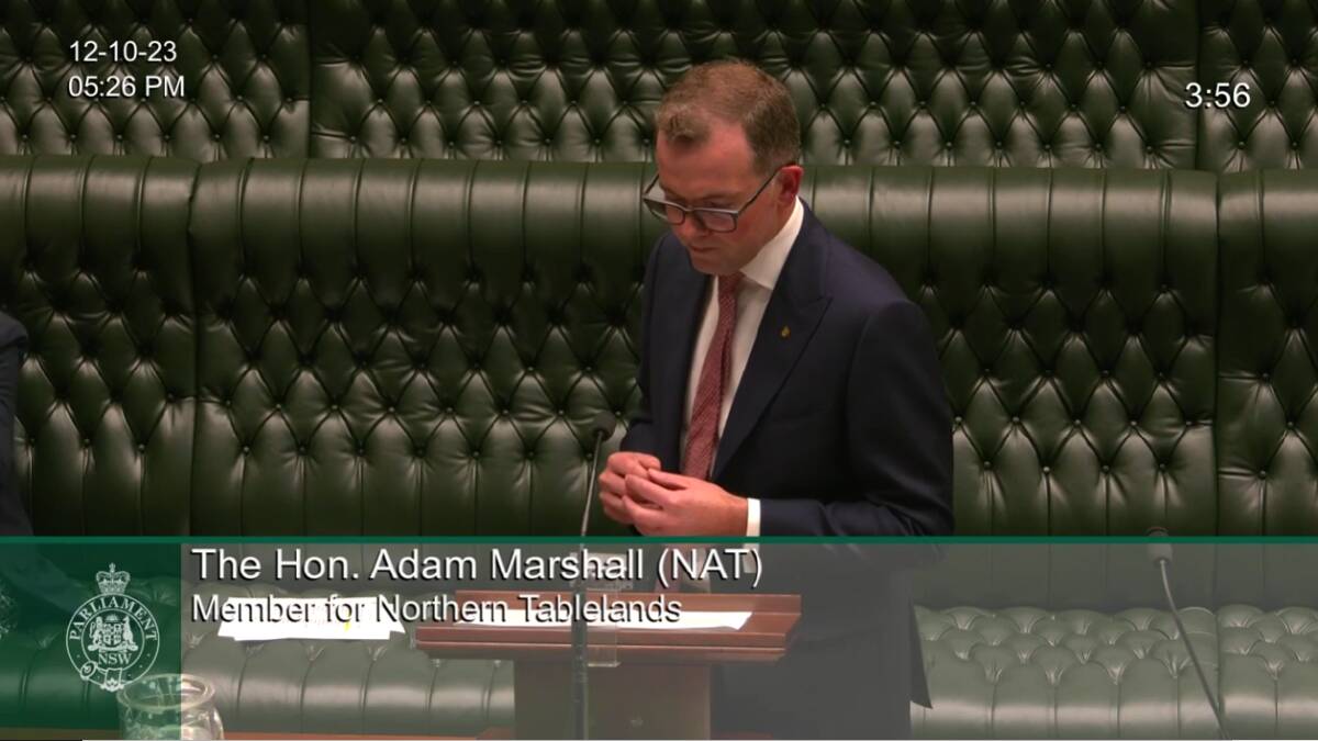 Member for Northern Tablelands Adam Marshall addressing state parliament. Supplied