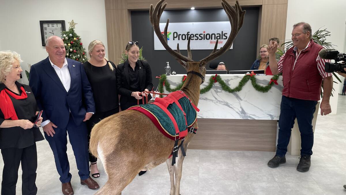 Caption this! 'Rocky' the reindeer visiting Professionals real estate Armidale . Photo HF