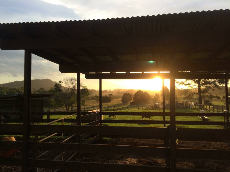 Worth it: The view at sunset from Honeycomb Valley Farm.