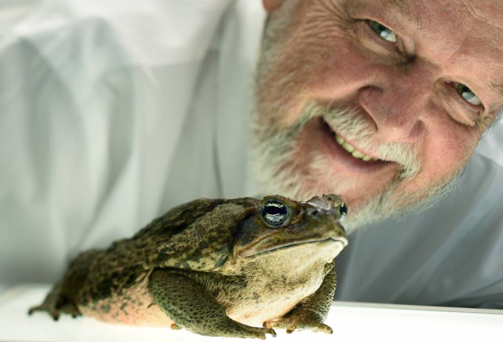 LOOK WHO'S HERE: Professor Rick Shine with a cane toad, a number of which have been spotted in the Northwest and Hunter in recent weeks.