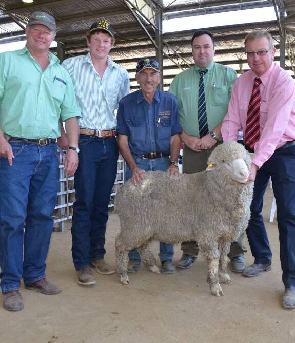 GREAT WOOL: “This year’s drop has some very stylish wool on them and backs up how the wool clip performed at the Sydney sale in August. 
