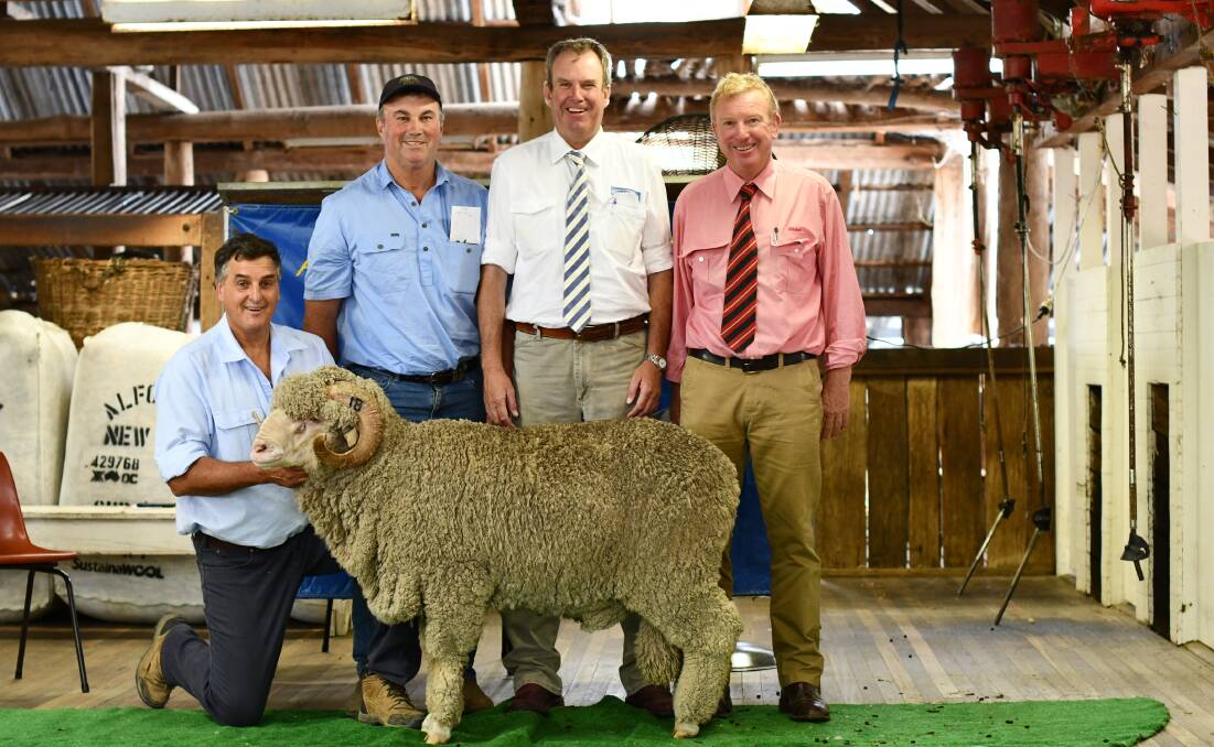 WINNING WAYS: Alfoxton attended the Armidale Housed Show and Sale in February, where the stud won a number of prizes. 