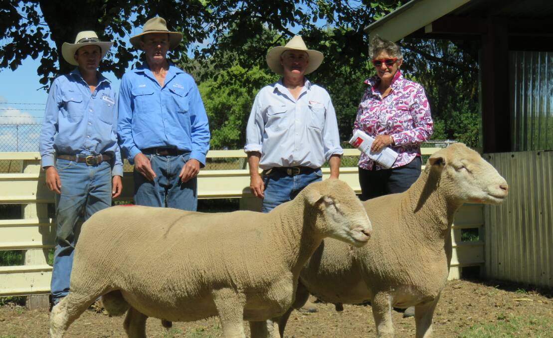 KEY OBJECTIVES: The use of lamb plan in most of the studs allows buyers to utilise the data and breed plan figures to select the ideal ram for their individual needs.
