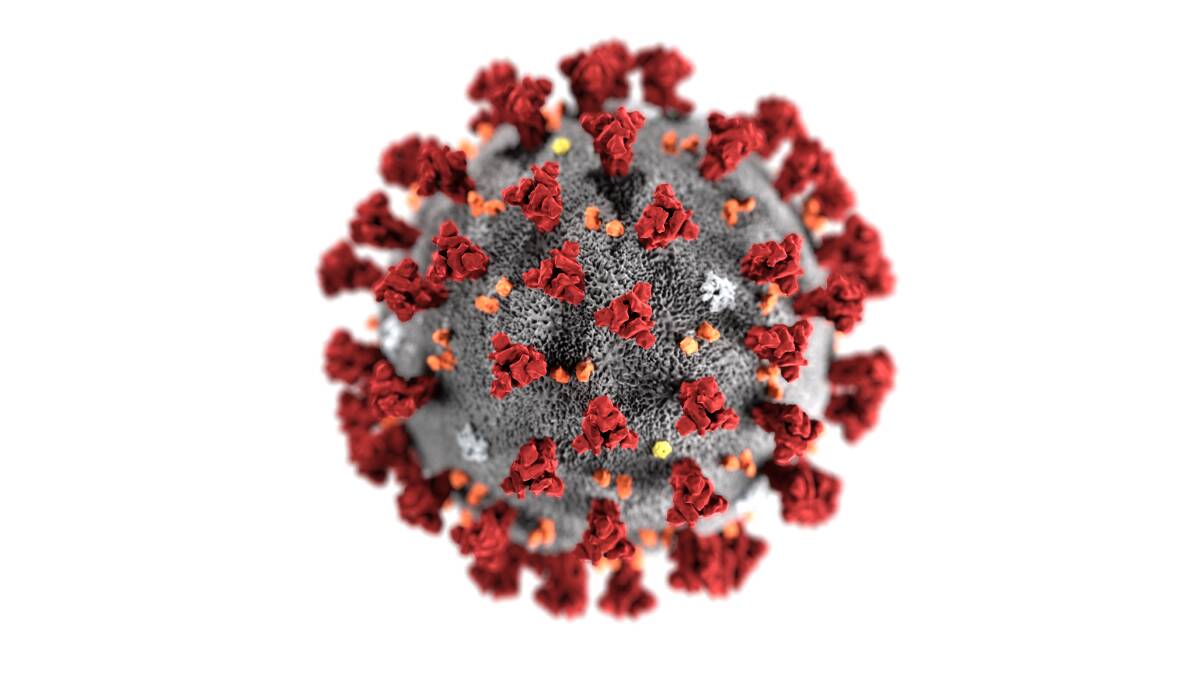 An illustration showing what the coronavirus particle looks like. 