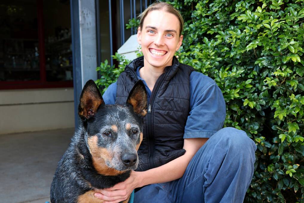 Vaccinate: Gunnedah Veterinary Hospital's Chelsea Mitchell with Milly. Photo: Supplied