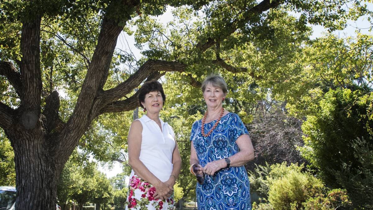 GREEN AND LUSH: Councillors Helen Tickle and Juanita Wilson in Upper Street, which they said was a perfect example of their vision for other streets in the region. Photo: Peter Hardin