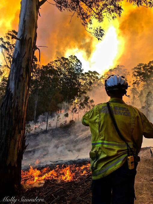 BLAZE: NSW Rural Fire Service volunteers battled strong winds and huge flames at the Bees Nest fire. Photo: Molly Saunders