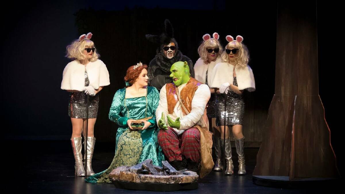 Cast members from the 2023 production of 'Shrek the Musical' on stage at the Capitol Theatre. Picture by Tamworth Camera Club