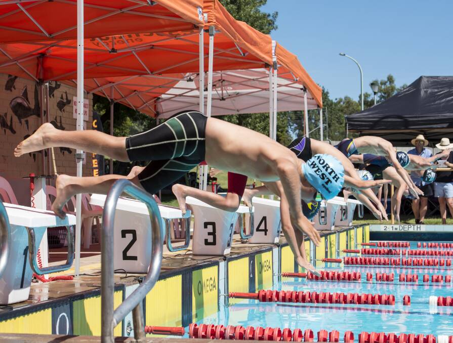 And they're off: Competitors dive into the deep end at the Tamworth City Swimming Carnival. Photo: Peter Hardin 080117PHA180