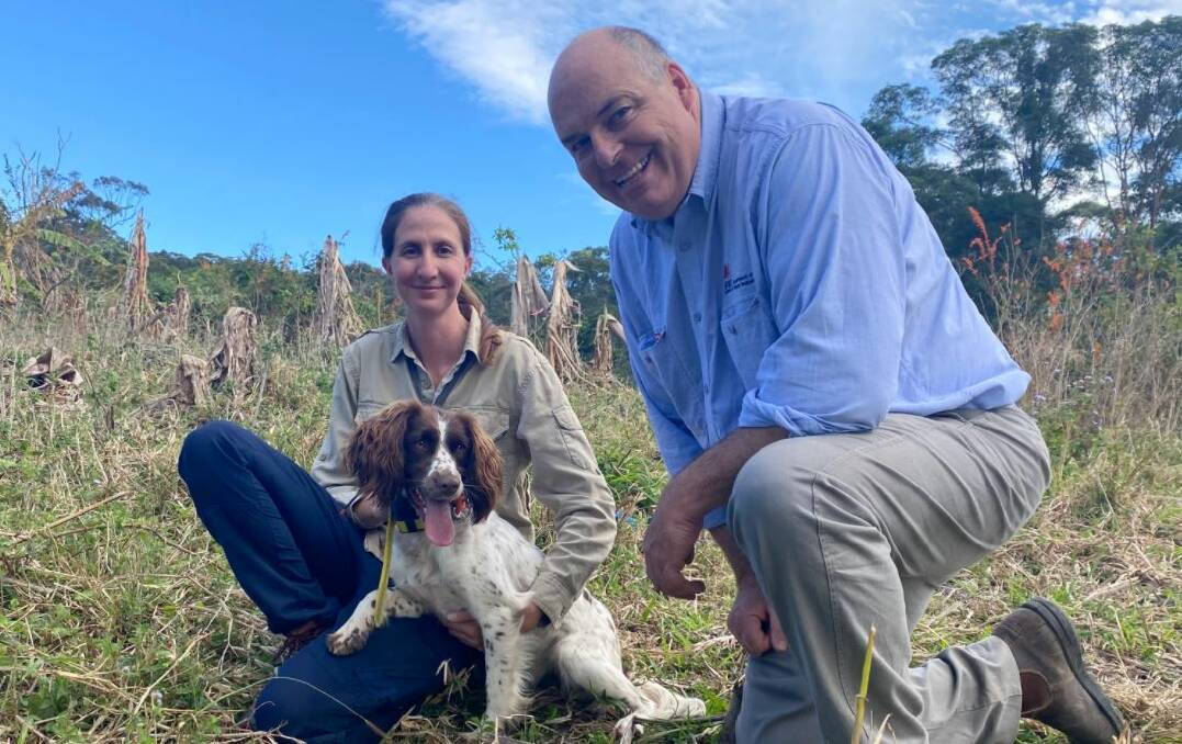 The nose that knows: Dog handler, Claire Chiotti with 'Connor' and NSW Department of Primary Industries State priority weeds coordinator, Charles Mifsud. Photo: supplied