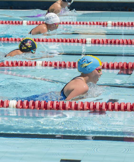 Hot competition: Tamworth City Swimming Carnival Photo: Peter Hardin 080117PHA355