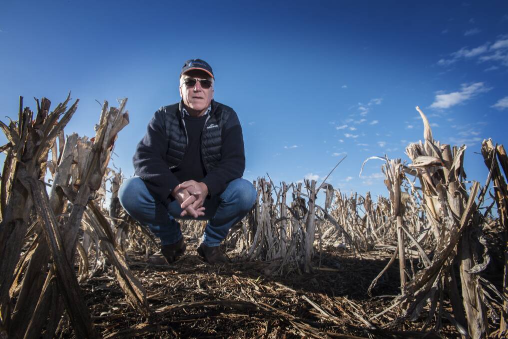 Taking action: Farmer Bernie Perkins is part of the class action lawsuit.