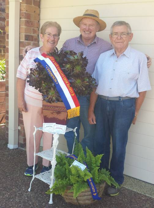 Richard Mills (right) with his wife Margaret are congratulated by Alan Chappel on their ribbon-winning plants at the Armidale Show in 2019. 