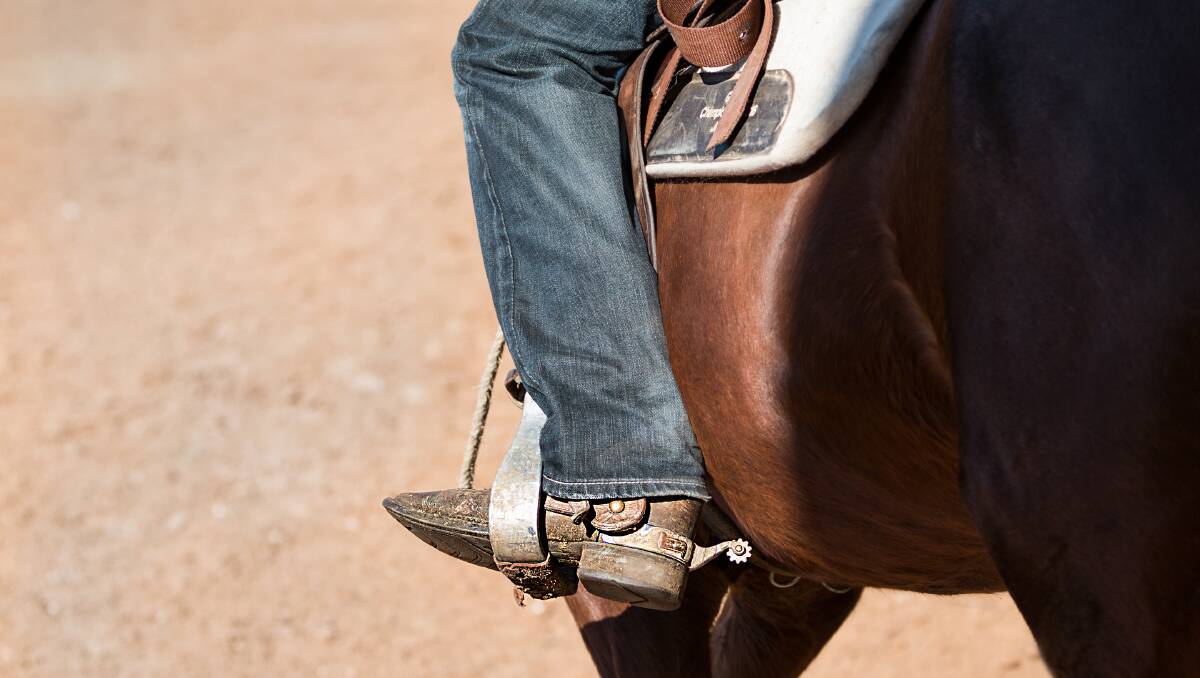 Tamworth and District Campdraft Club - Training Day