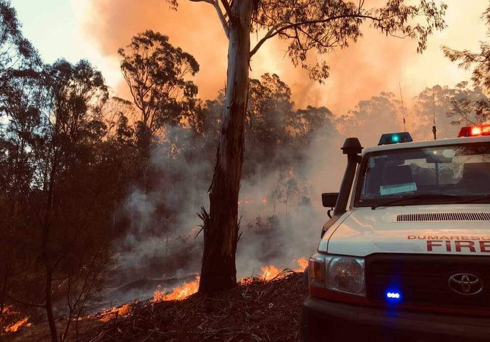 BUSHFIRE: Heavy smoke blew through the bush as firefighters battled to try to control the Bees Nest fire. Photo: Molly Saunders