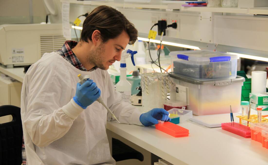 Research: Dr Zac Chatterton at work on a blood test to detect dementia. Photo: Supplied.