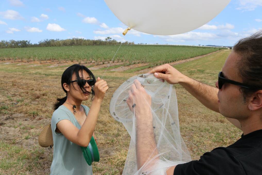 Timely research: Researchers attach the balloon to the net before releasing it. Photo: Supplied.
