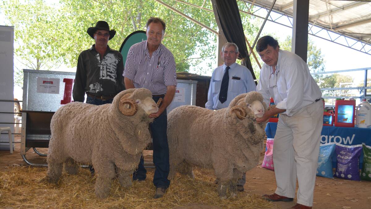 TOP: Chris Bourke and Harold Manttan with the two highest priced rams from George and Wal Merriman, Merryville Merinos, Boorowa. Photo: Hannah Powe