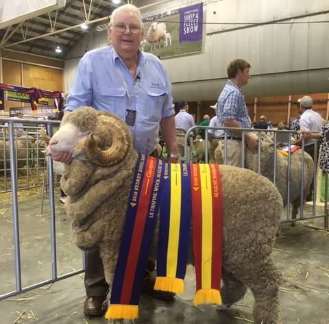 Champion: Leo Blanch, Westvale Merino Stud, Wollun with the champion August-shorn ultrafine ram at the 2016 Sydney Royal Easter Show.