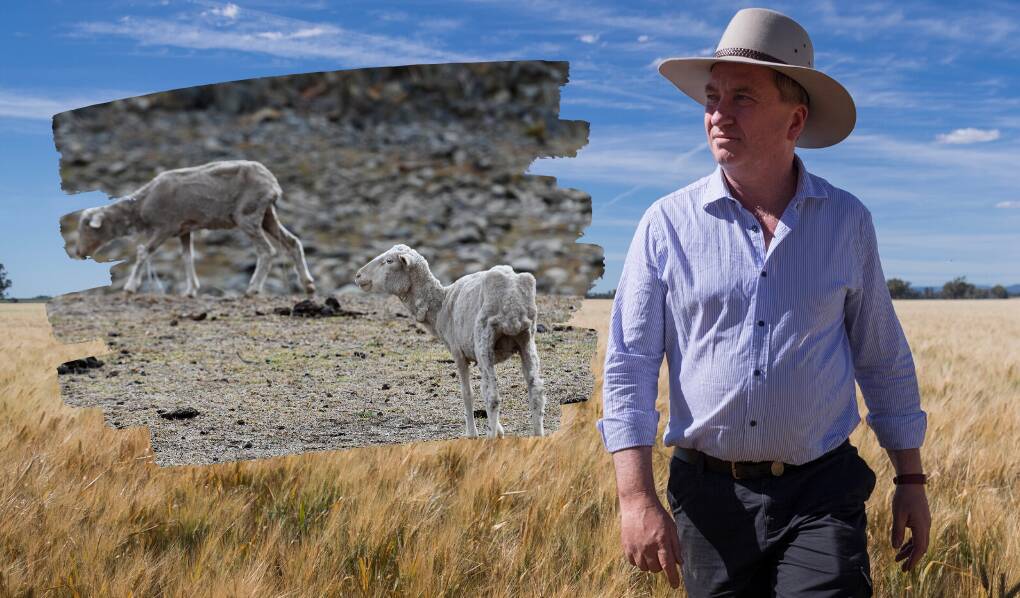 ONE IN THE SAME: Barnaby Joyce said in his mind, the drought and the fires raging across the state were the same 'climate catastrophe'.
