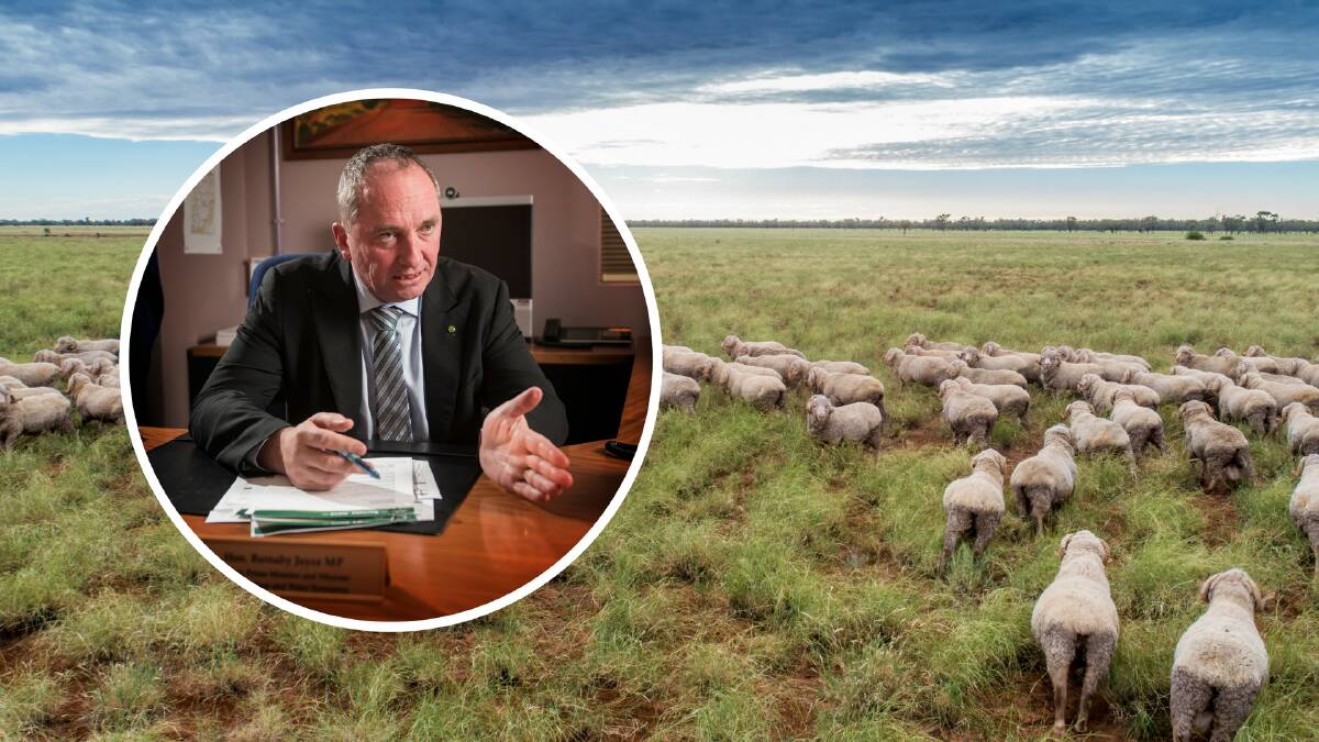Barnaby Joyce says live sheep export ban ‘would be a disaster’