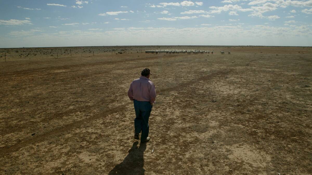 LISTEN TO US: The drought is beyond crisis point for many farmers, and they are begging the state government to listen to their calls for help. Photo: Michele Mossop 