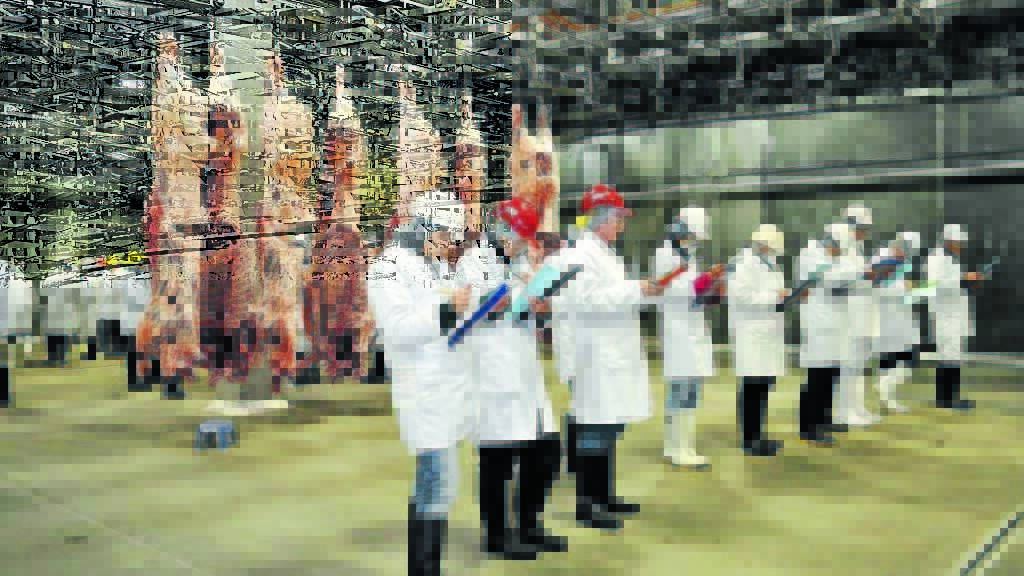 Abattoirs and mines get incentive to invest in water-saving technology