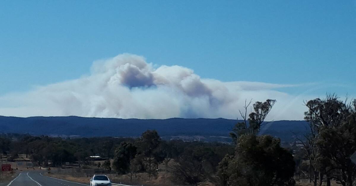 SMOKE PLUME: The smoke from the Bald Rock fire. Photo: Northern Tablelands RFS