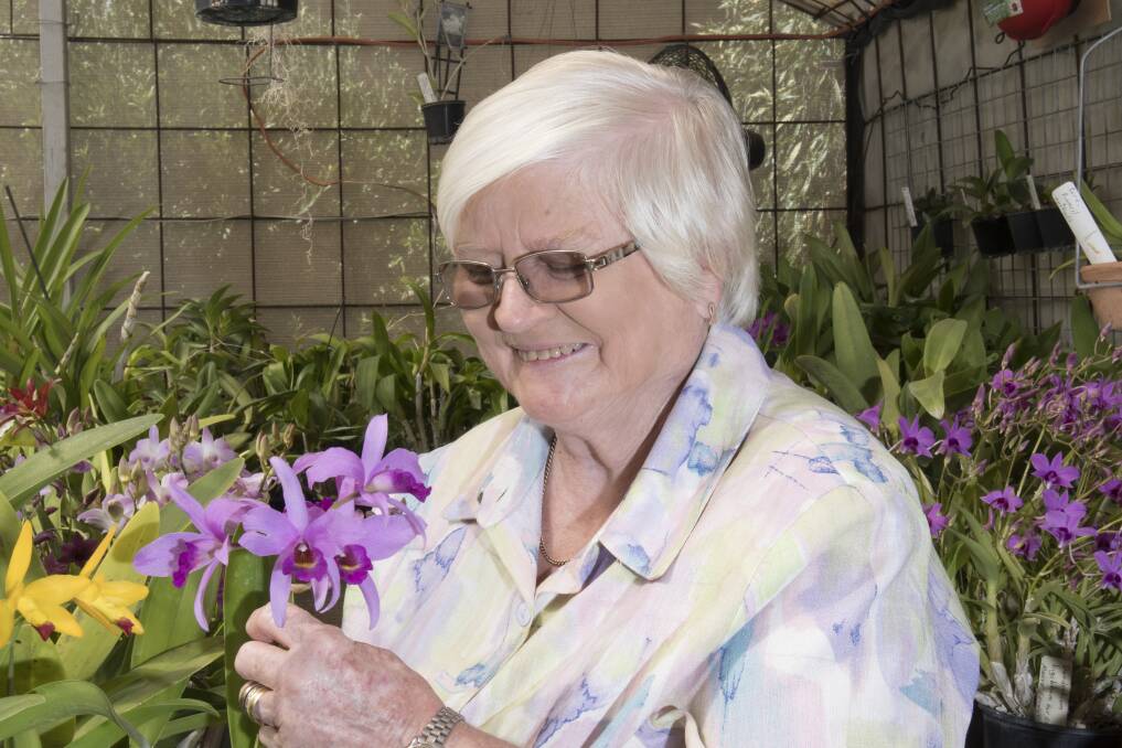WAGING WAR: Cheryl Harris said it had been a challenging year for orchid growers. Photo: Peter Hardin