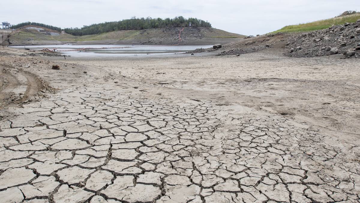 DNA of drought: UNE professor cracks code to predicting droughts