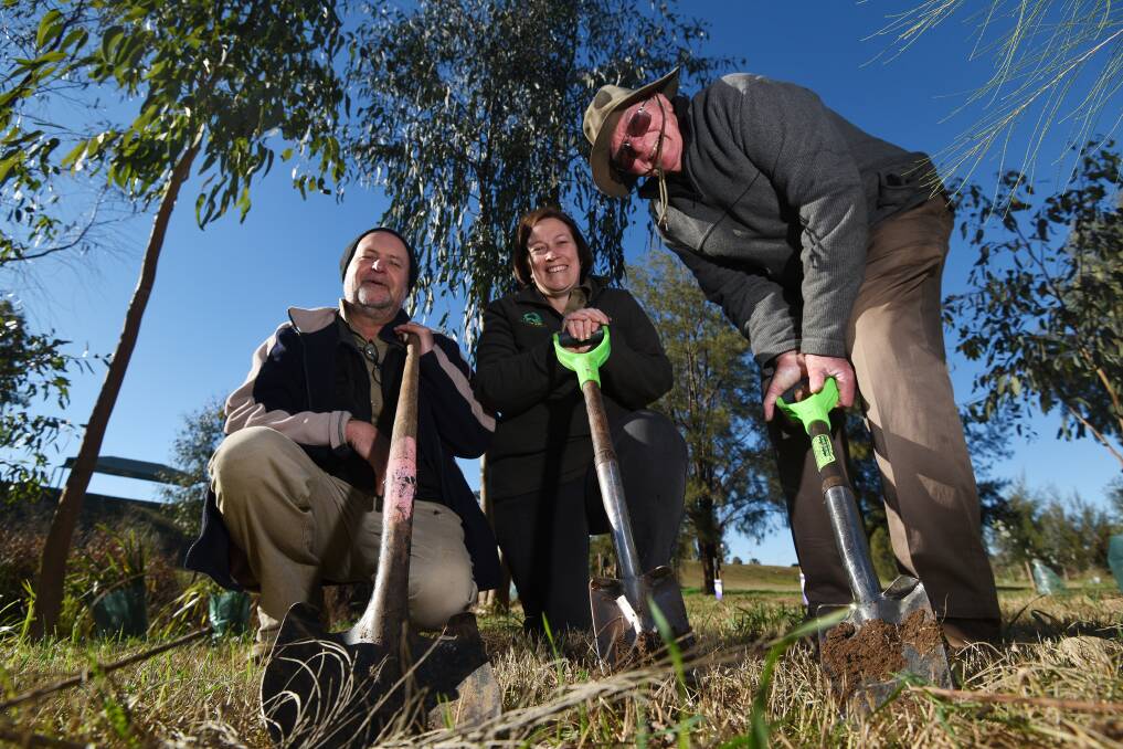 GREEN THUMBS: Tamworth Urban Landcare Group president Paul Moxon president, Stephanie Cameron and Philip Day planting she-oaks. Photo: Gareth Gardner 020717GGA03