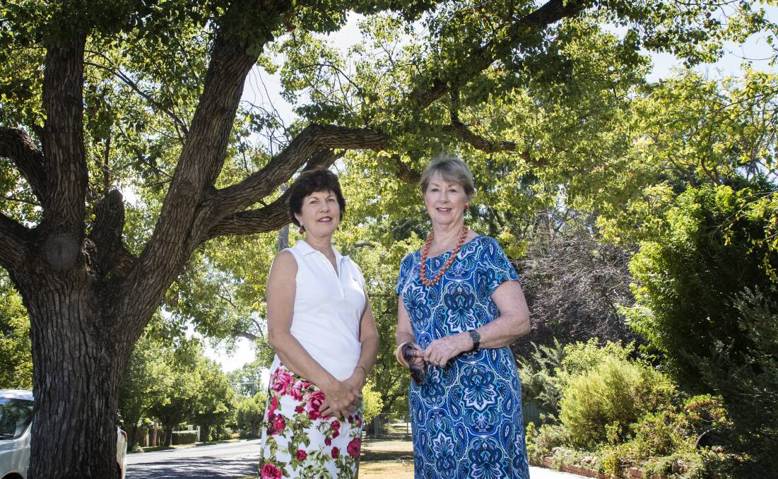 GREEN AND LUSH: Councillors Helen Tickle and Juanita Wilson in Upper Street, which they said was a perfect example of their vision for other streets in the region. Photo: Peter Hardin