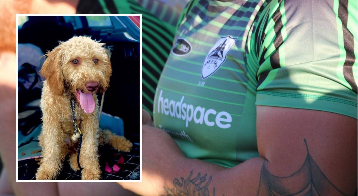 STAYING LOCAL: Headspace used the money raised by the Tamworth Rugby Club to buy and train Pavlov, a therapy dog.