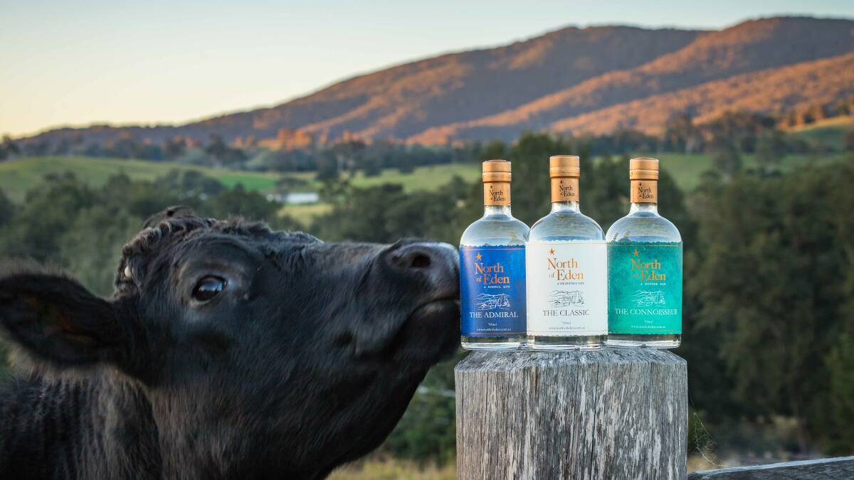 North of Eden gins are distilled at Stony Creek Farm just outside Bega by Gavin Hughes and Karen Touchie. Photo: David Rogers