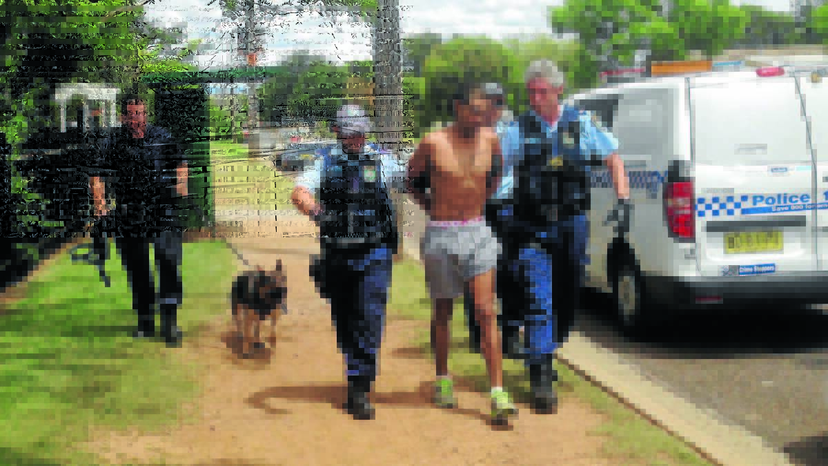 Position vacant: A visiting dog unit assists in the arrest of a man in Coledale in Tamworth. Photo: File