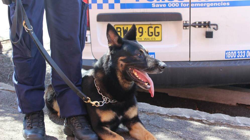 Dog gone: fears for future of police unit MIA for 3 months