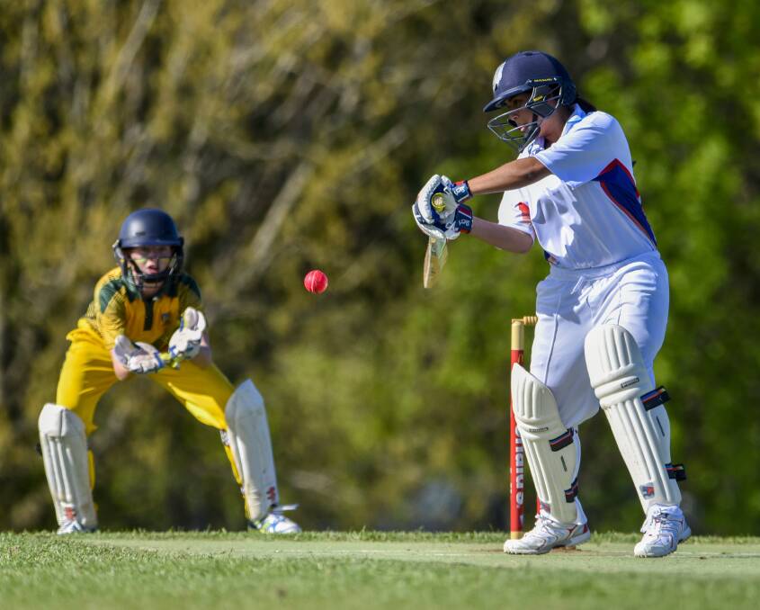 Selection: Dharmini  Chauhan lets rip for Illawarra on Monday during the cricket final. Photo: Peter Hardin 260916PHC102