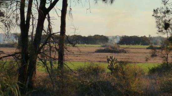 Appeal dismissed: The Turnbulls had both pleaded guilty to the charges of illegal clearing of native vegetation in the Moree area between 2012 and 2013. Photo: OEH