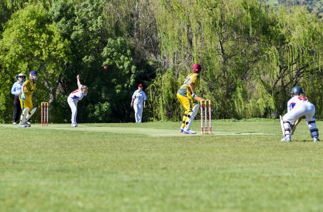 Country clash: North Coastal in action on the pitch against Illawarra during Monday's Under 15 cricket final. Photo: Peter Hardin 260916PHC095