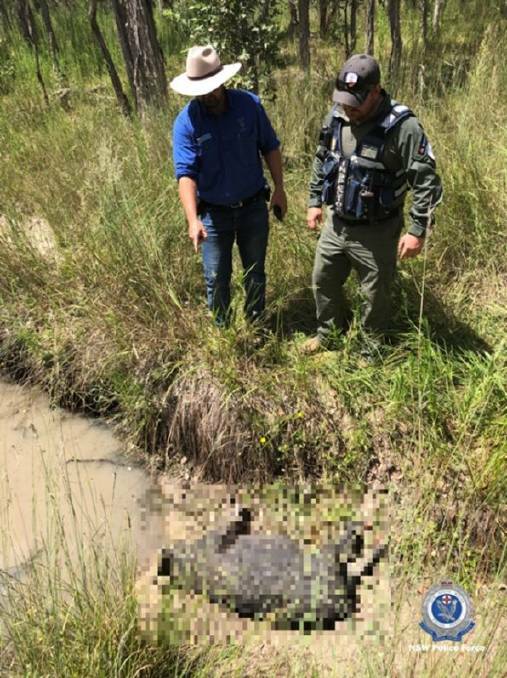 On patrol: A rural crime officer with a NSW DPI Game Licensing Unit representative during the Barraba police blitz in February. Photo: NSW Police