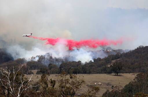 Firefighters give everything to stop out-of-control blaze near Moonbi | Photos