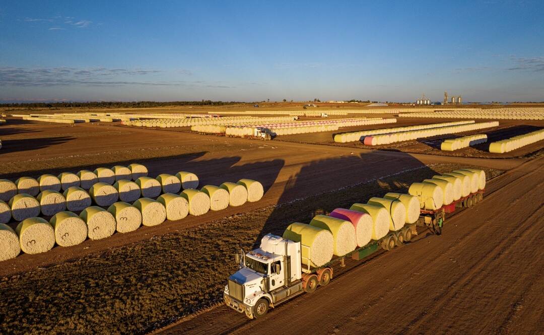 Namoi Cotton is a major player in the Aussie cotton sector. Photo supplied.