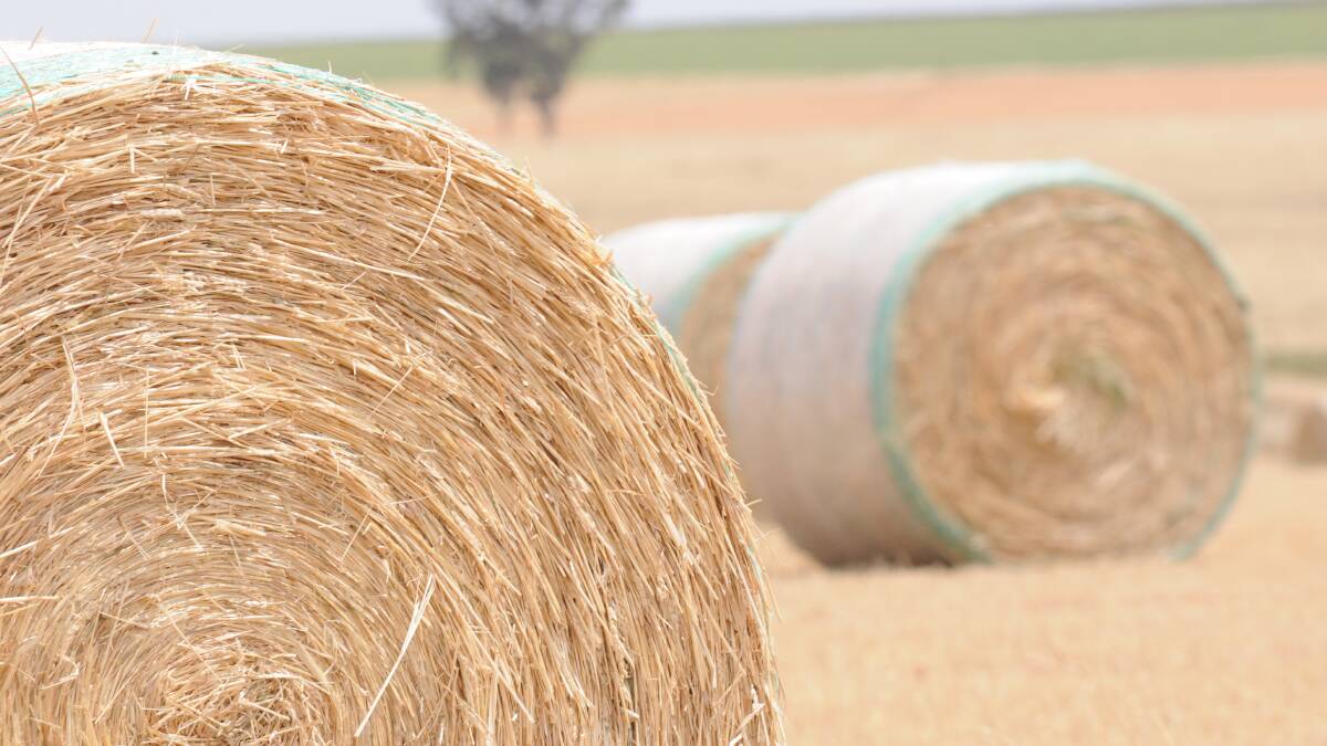Hay is moving from Victoria and SA to northern NSW and Queensland at present with buyers incurring huge freight costs.