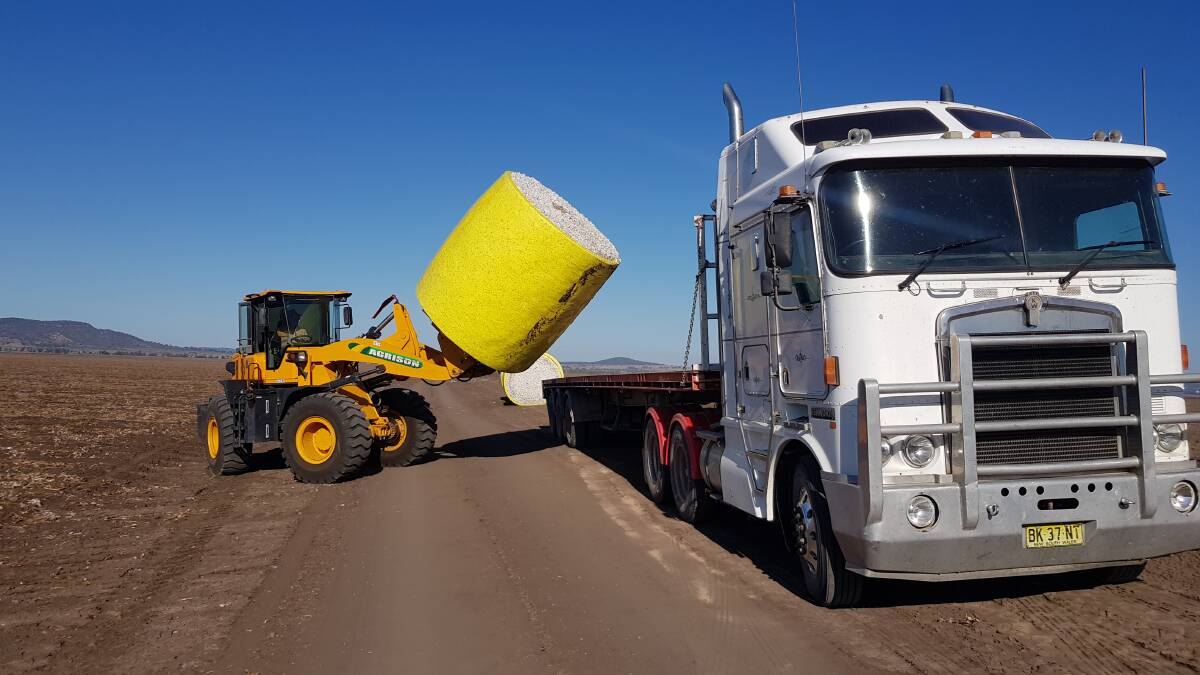 Cotton is loaded onto a truck at Drayton in Breeza for delivery to local gins. Photo: John Hamparsum