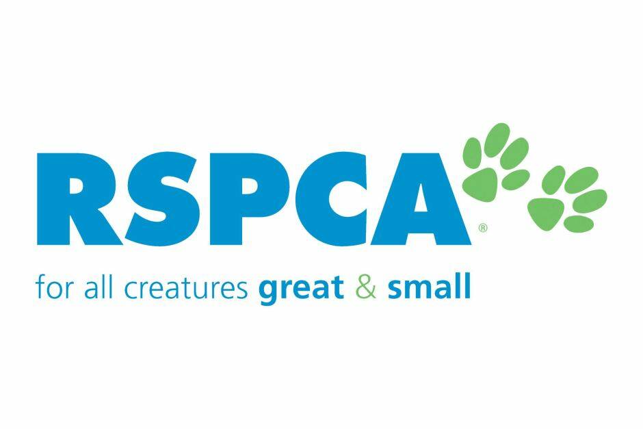 31 dogs seized by RSPCA in farm raid