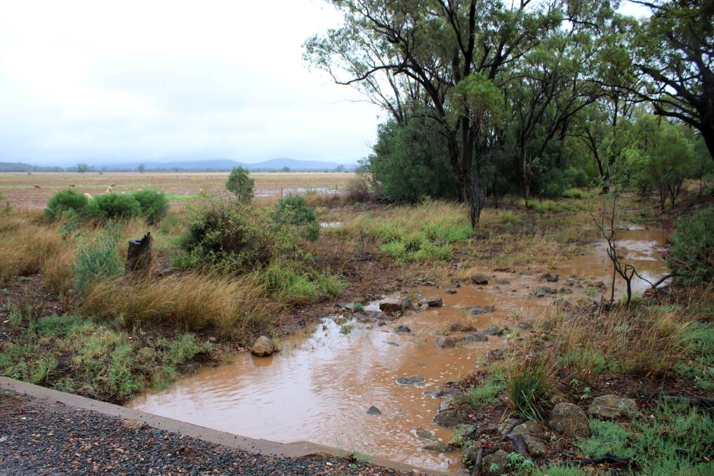WEATHER WARNING: A creek running at a property between Curlewis and Nea after steady rain. More rain is predicted for the weekend and the SES is preparing for possible flooding. Photo: Vanessa Hohnke