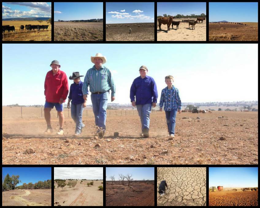 WESTERN NSW: Main picture: John, Brooke, Chris, Thomas and Jack Haycock on their farm at Yeoval, which has been in their family for six generations. Top: Tracey Carey, Sally Ryan, AJ Murray, Clare Kesby, Jane Watkin. Bottom: Nick Anganostar, Andrew 'Pony' Munro, picture supplied, Peter Small and Tennille Siemer.