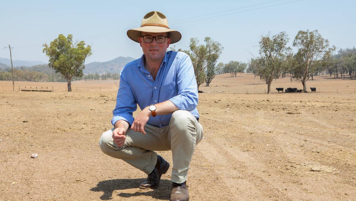 Agriculture Minister Adam Marshall in parched paddocks near Bingara. Photo: Simon Scott
