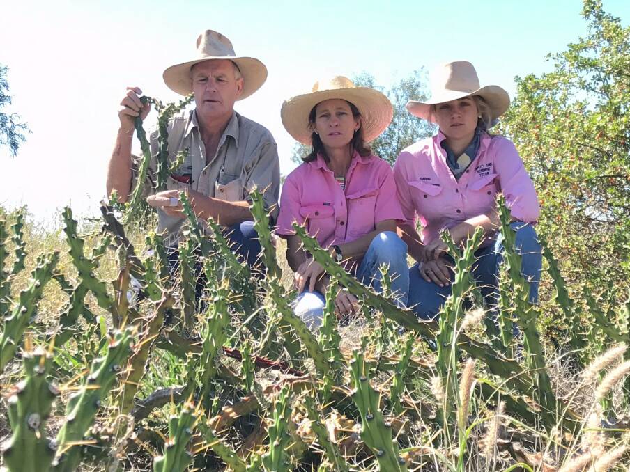 Matt and Lucy Godlee with their daughter Sarah who have spent thousands trying to control harrisia cactus on their property near Goondiwindi. 